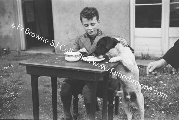 BOY PLAYING WITH DOG